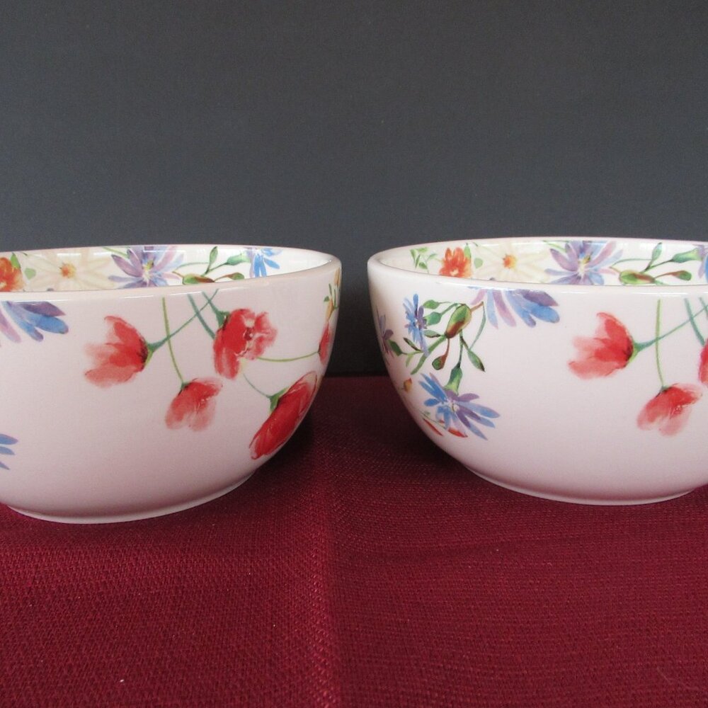 BICO Summer Provance set of 2 soup/pasta bowls 6"